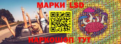дмт Краснодар