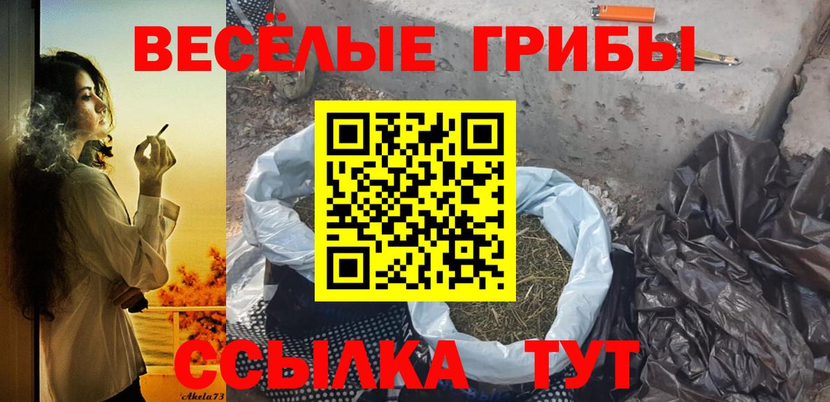 Сунжа  Псилоцибиновые грибы мухоморы  Вход с VPN 