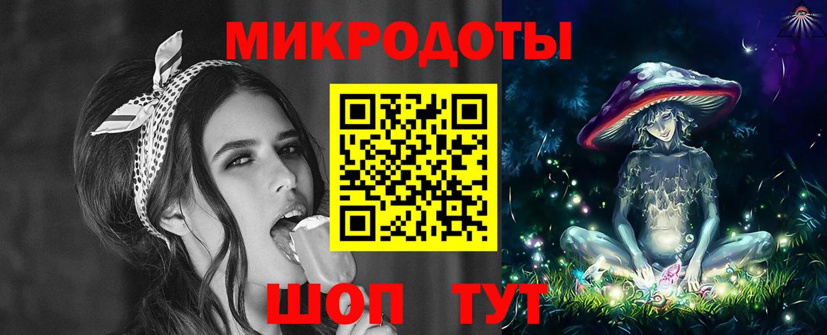 Галлюциногенные грибы Psilocybe Сунжа